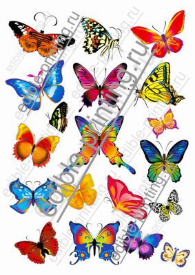Рисунок бабочки Размеры можно изменить по желанию.