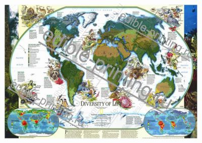 Карта мира 3 