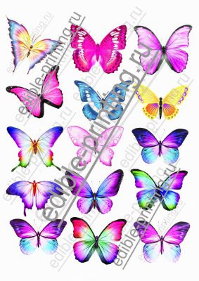 Бабочки разноцветные Размеры можно изменить по желанию.