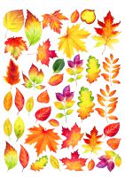 Картинки для торта Осенние листья съедобные listya002