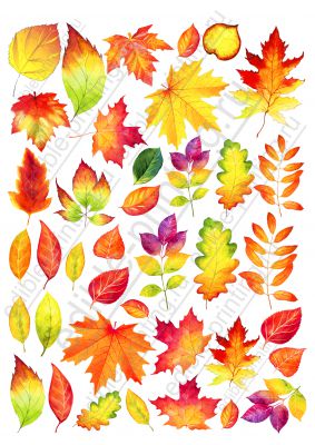 Картинки для торта Осенние листья съедобные listya002 Размер листа: формат А4 (макс. 20х28 см)