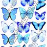 Голубые бабочки для торта 