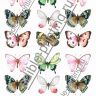 Бабочки 4