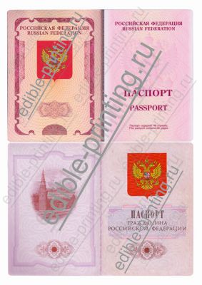 1 страница паспорта рф и загранпаспорта 