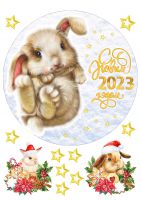 Картинка для торта Новый год (год кролика) ng052