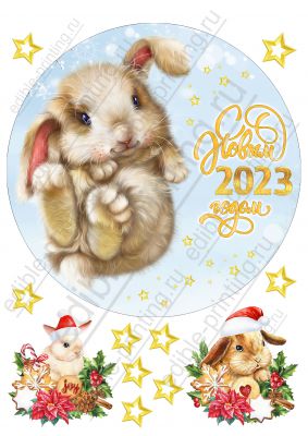 Картинка для круглого торта Новый год кролика ng065 Круглая картинка диаметром 20 см. Размер листа: формат А4 (макс. 20х28 см)
